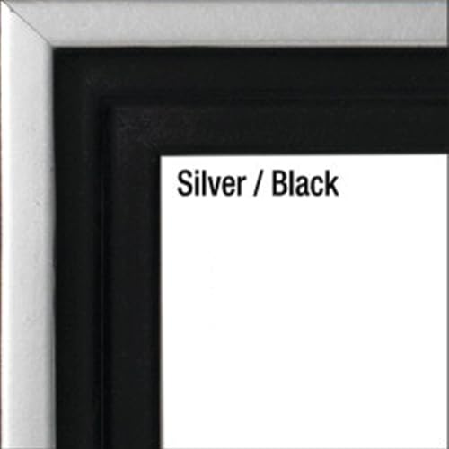Silver w/ Black Sides