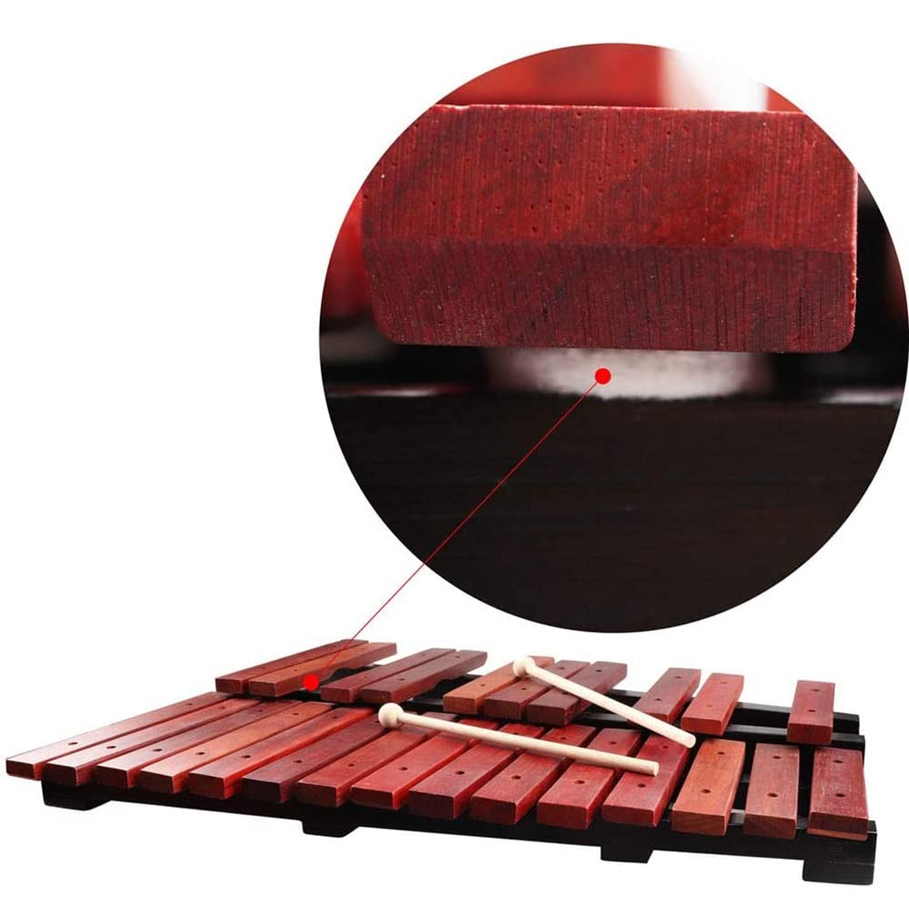 25-Key Wooden Xylophone with 2 Mallets & Carrying Case - Professional Percussion Instrument for Music Education, Kids & Adults - Perfect for Classroom, Home Practice & Musical Performances