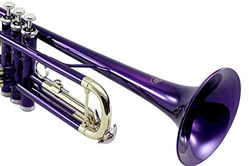 Sky Band Approved Orchid Purple Lacquer Brass Bb Trumpet with Case, Cleaning Cloth, Gloves & Valve Oil - Professional Brass Instrument for Beginners & Students - Perfect for School Bands, Jazz Ensembles & Solo Performances