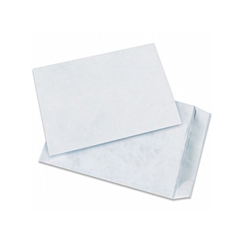 Tyvek Flat Envelope 10x15 Inches - White End Load Shipping Mailers (Pack of 100) for Documents, Photos & Lightweight Packages