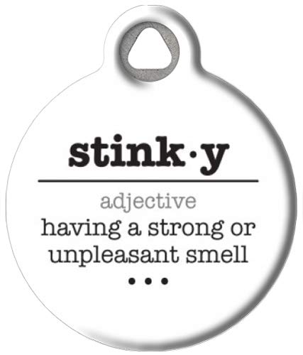 Funny Stinky Word Definition Pet ID Tag for Dogs & Cats - Large Size Custom Engraved Dog Tag - Perfect for Pet Safety & Humor