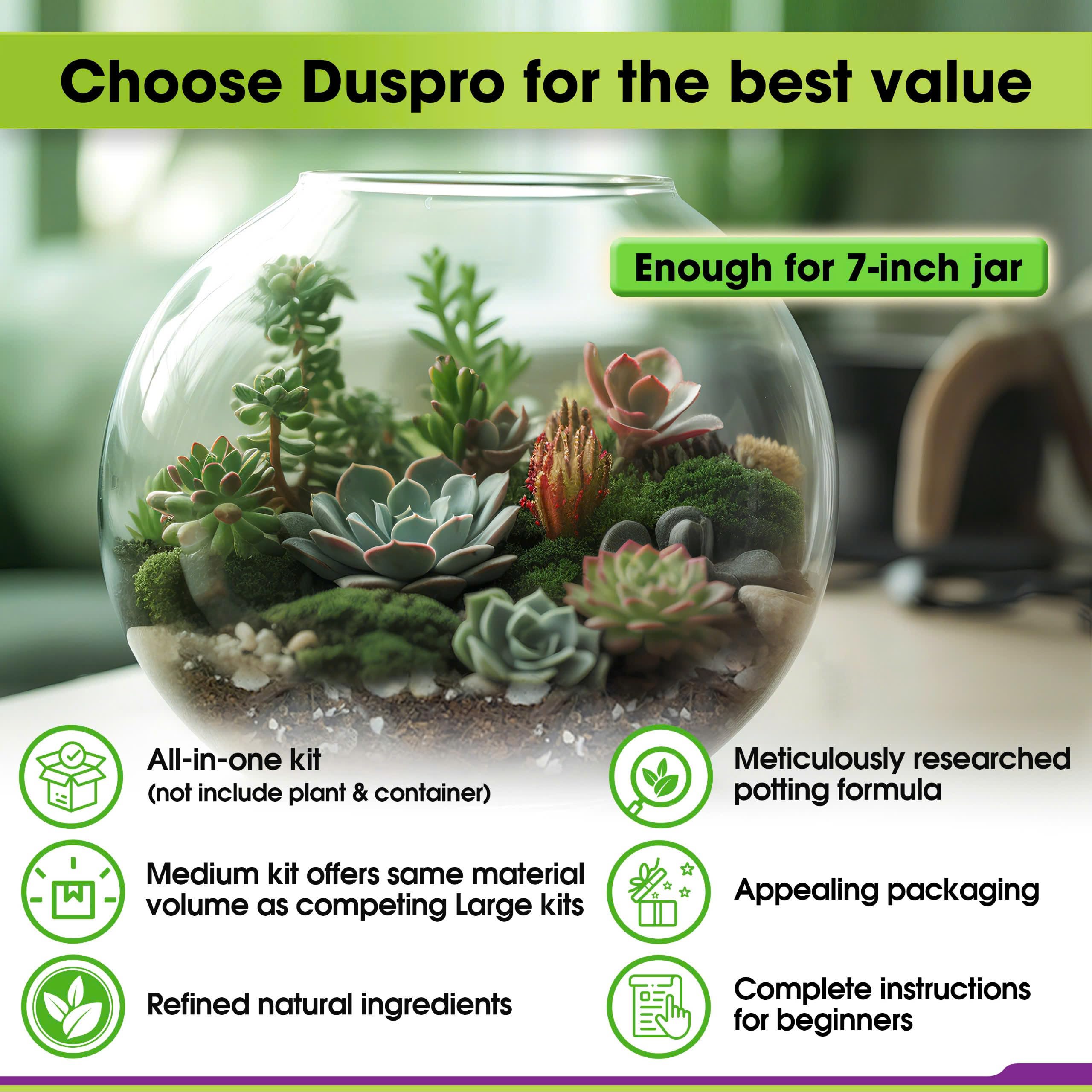 DUSPRO DIY Terrarium Kit - Complete Set with Potting Soil, Pumice, Zeolite, Moss, Decorative Stones & Tools - Perfect for Kids, Air Plants & Succulents | Create Your Own Mini Garden for Home Decor, Office Desk or Gift Idea