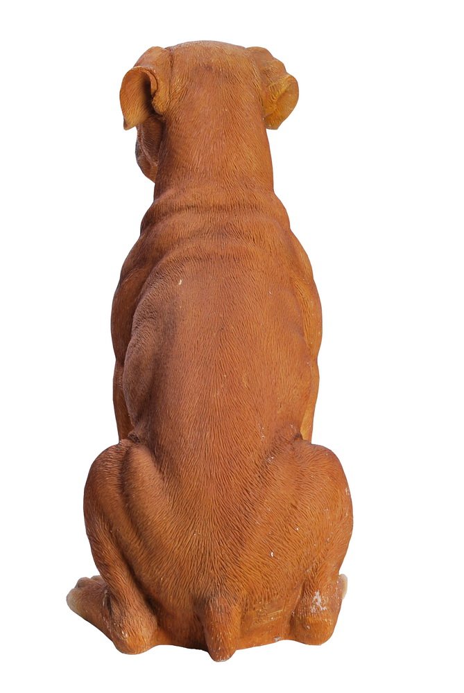 Hi-Line Gift Ltd Sitting Boxer Dog Statue - Realistic Handcrafted Home Decor Sculpture for Living Room, Office & Garden | Perfect Gift for Dog Lovers & Pet Owners