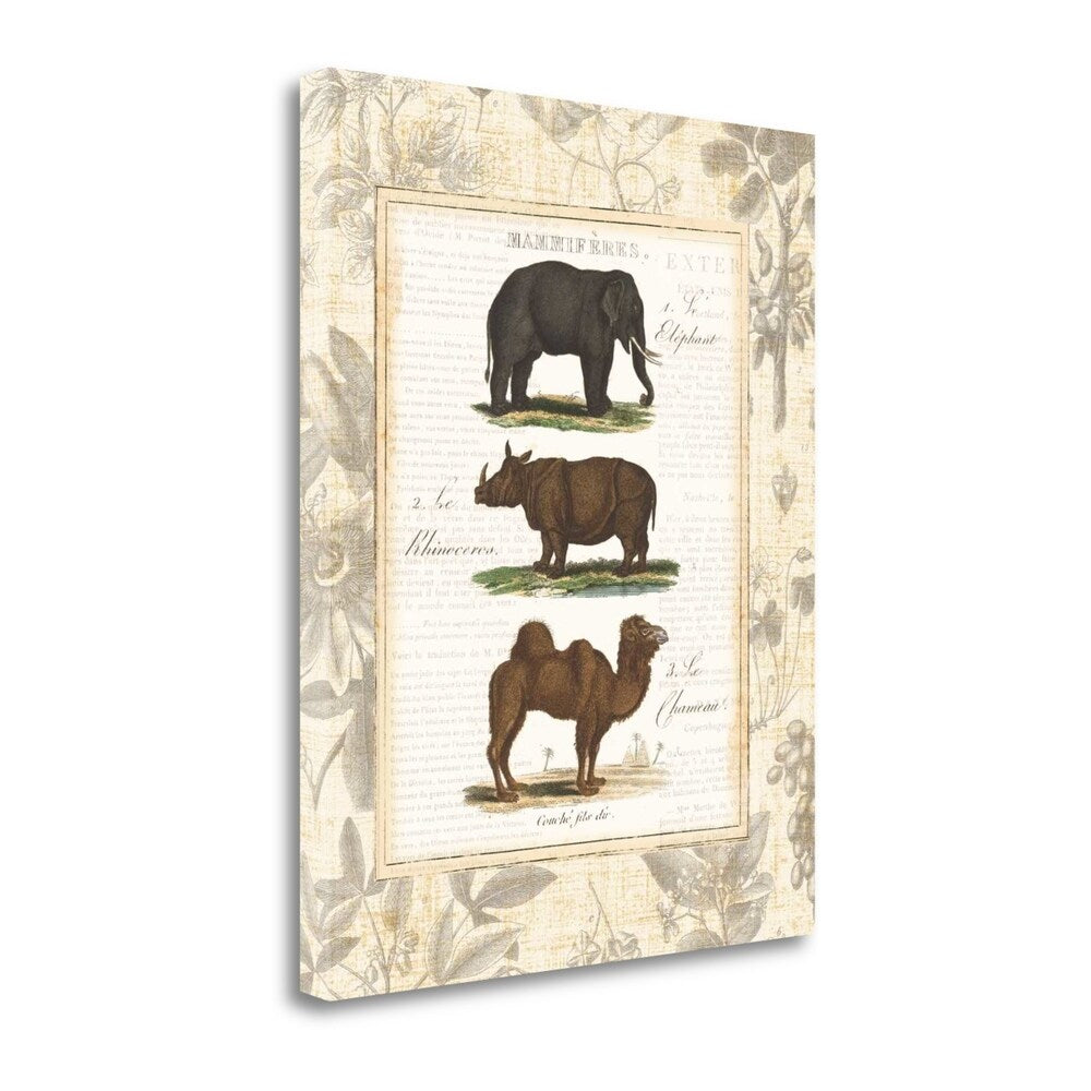 African Animals II Art Print by Wild Apple - Giclee on Gallery Wrap Canvas - Perfect for Home Decor, Office & Wildlife Themed Spaces