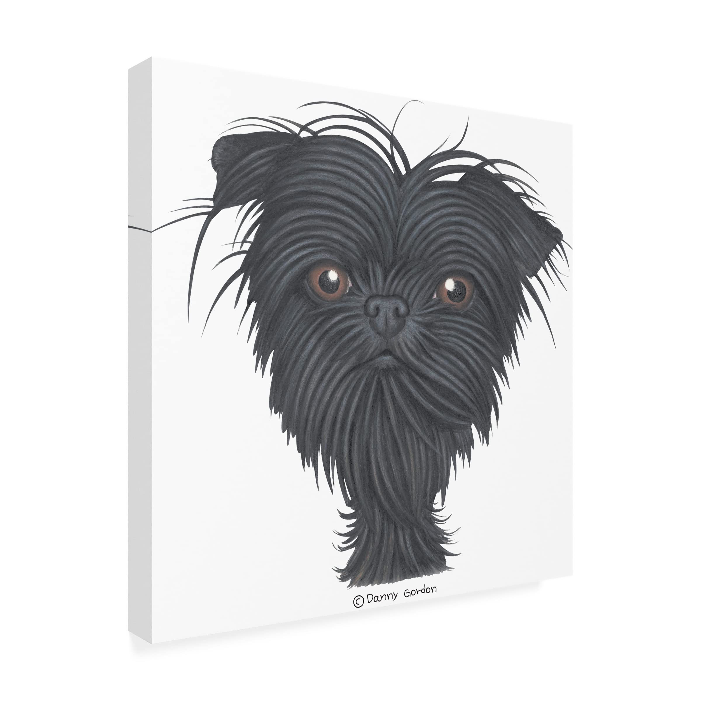 Trademark Fine Art 'Affenpinscher Bust' Canvas Art Print by Danny Gordon - Dog Lover Gift, Home Decor for Living Room, Bedroom & Office