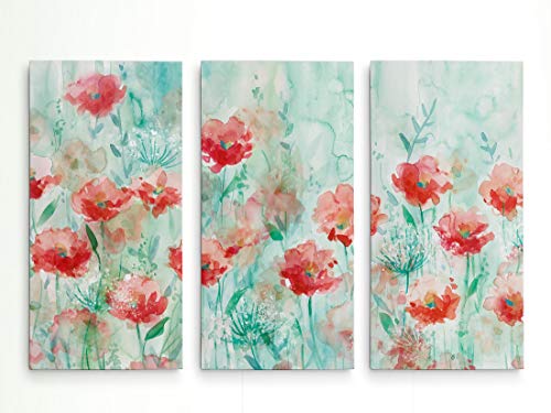 Poppies and Queen Anne