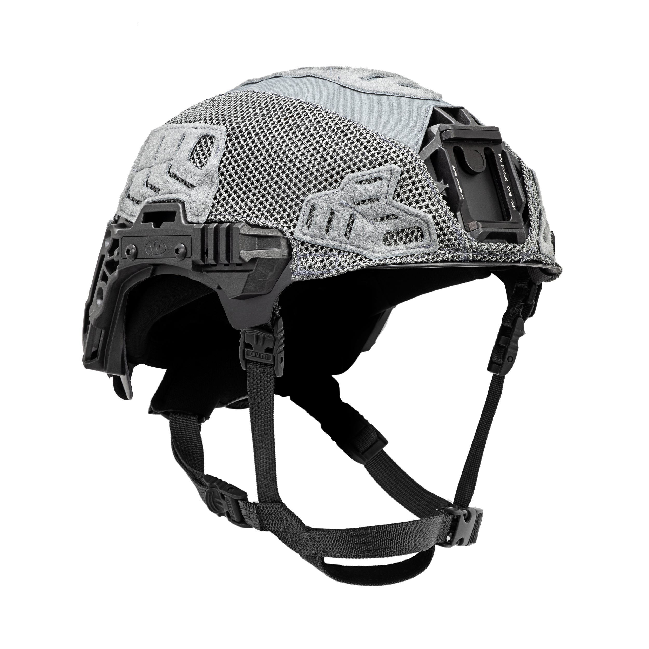 Wolf Gray