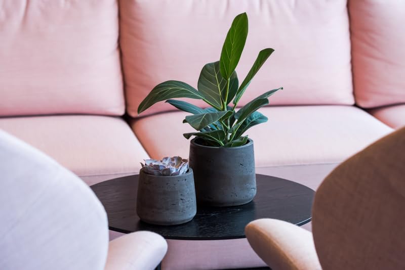 Premium Black Fiber Cement Round Planter - 15