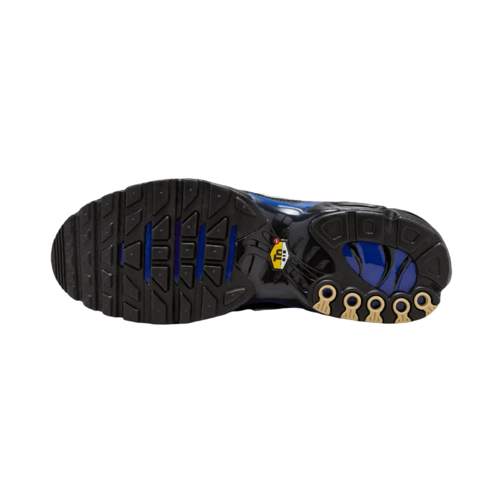Nike Air Max Plus Premium Running Shoes for Men - Black Phantom & Racer Blue - Comfortable Athletic Sneakers for Jogging, Gym & Casual Wear