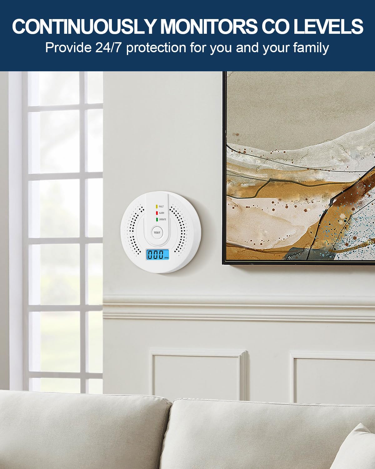 Carbon Monoxide Detector with LCD Digital Display - AA Battery Powered (Batteries Not Included) - CO Gas Alarm Monitor for Home Safety - Ideal for Bedroom, Kitchen & Warehouse Use - Easy Test Button (2-Pack)