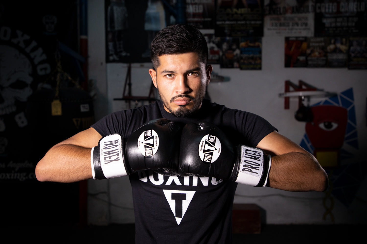 Pro Mex Professional Boxing Gloves V3.0 - Premium Training & Sparring Gloves for MMA, Kickboxing & Muay Thai - Ideal for Gym Workouts, Heavy Bag Training & Competition