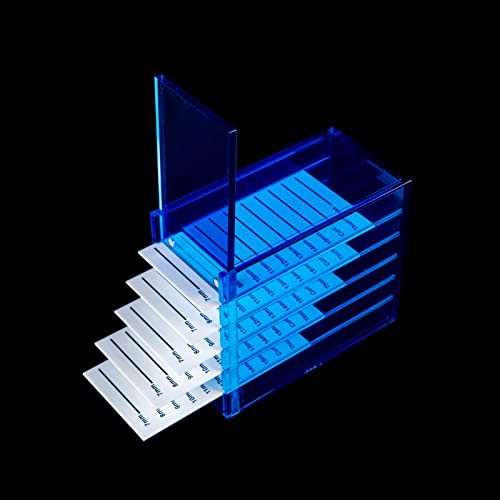 Blue-Upgrade