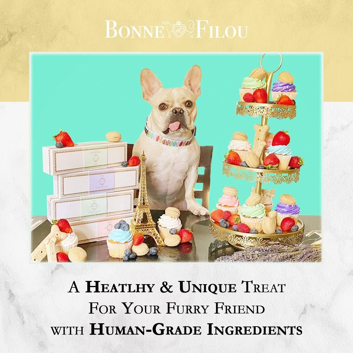 Bonne et Filou Gourmet Dog Treats - Creme Brulee Cupcakes & Macaron Cakes, Healthy Human-Grade Dog Snacks (6 Count) - Perfect for Training Rewards & Special Occasions