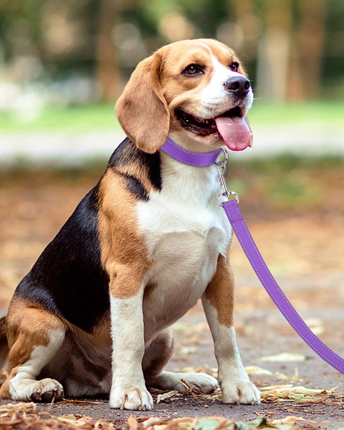 Premium Reflective Dog Leash for Medium & Large Breeds (20-150 lbs) - 4ft Neoprene-Padded Handle & Double-Sided Safety Design - Durable 1-Inch Wide Purple Leash for Walking, Running & Nighttime Visibility