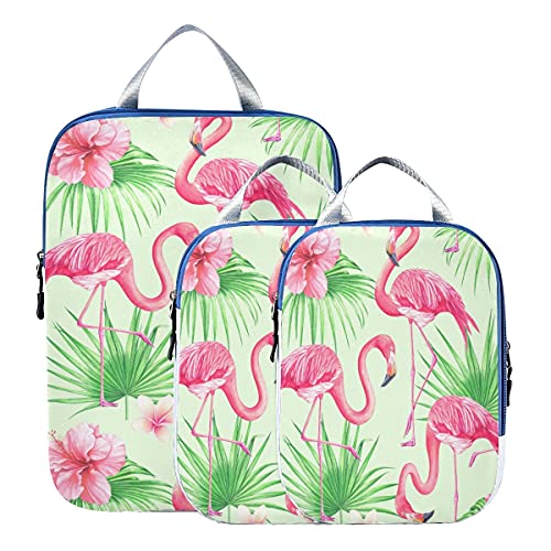Flamingo 11