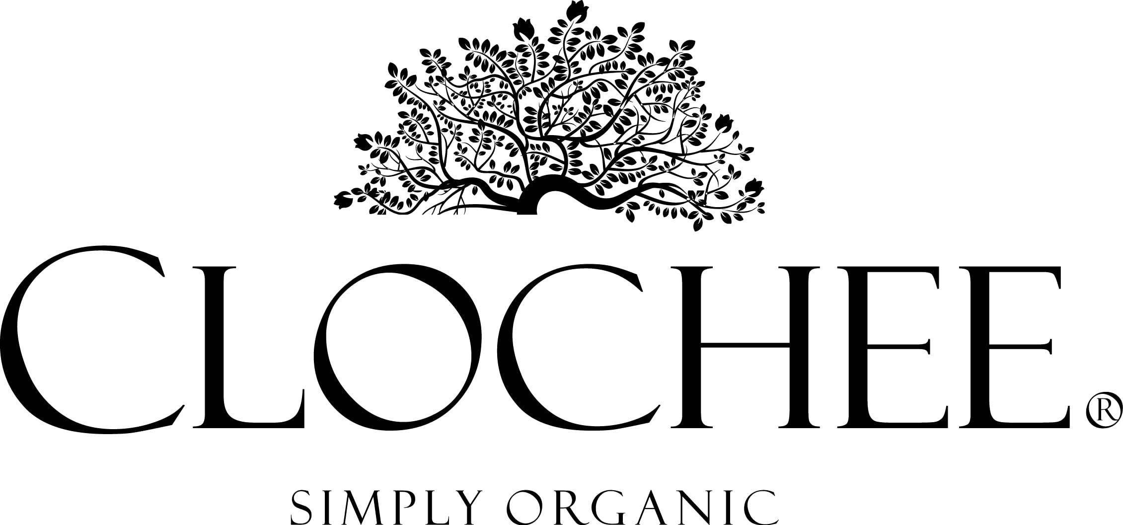 Clochee Organic Sugar Scrub for Body - Mango Scent with Shea Butter & Raspberry Seeds (8.5 oz) | Exfoliating & Moisturizing for Soft Skin | Perfect for Spa Day & Self-Care Routine