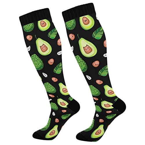 Avocado Fruit on