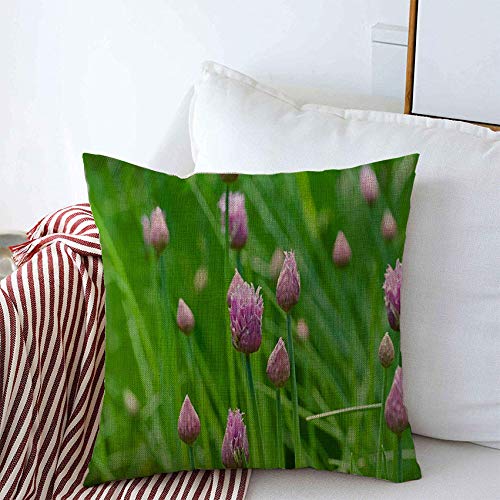 Onion Macro Nature Garden Rose Flower Blossom Linen Throw Pillow Covers 18x18 Inch - Soft Couch, Car Seat & Bedroom Decor for Living Room, Nursery & Office