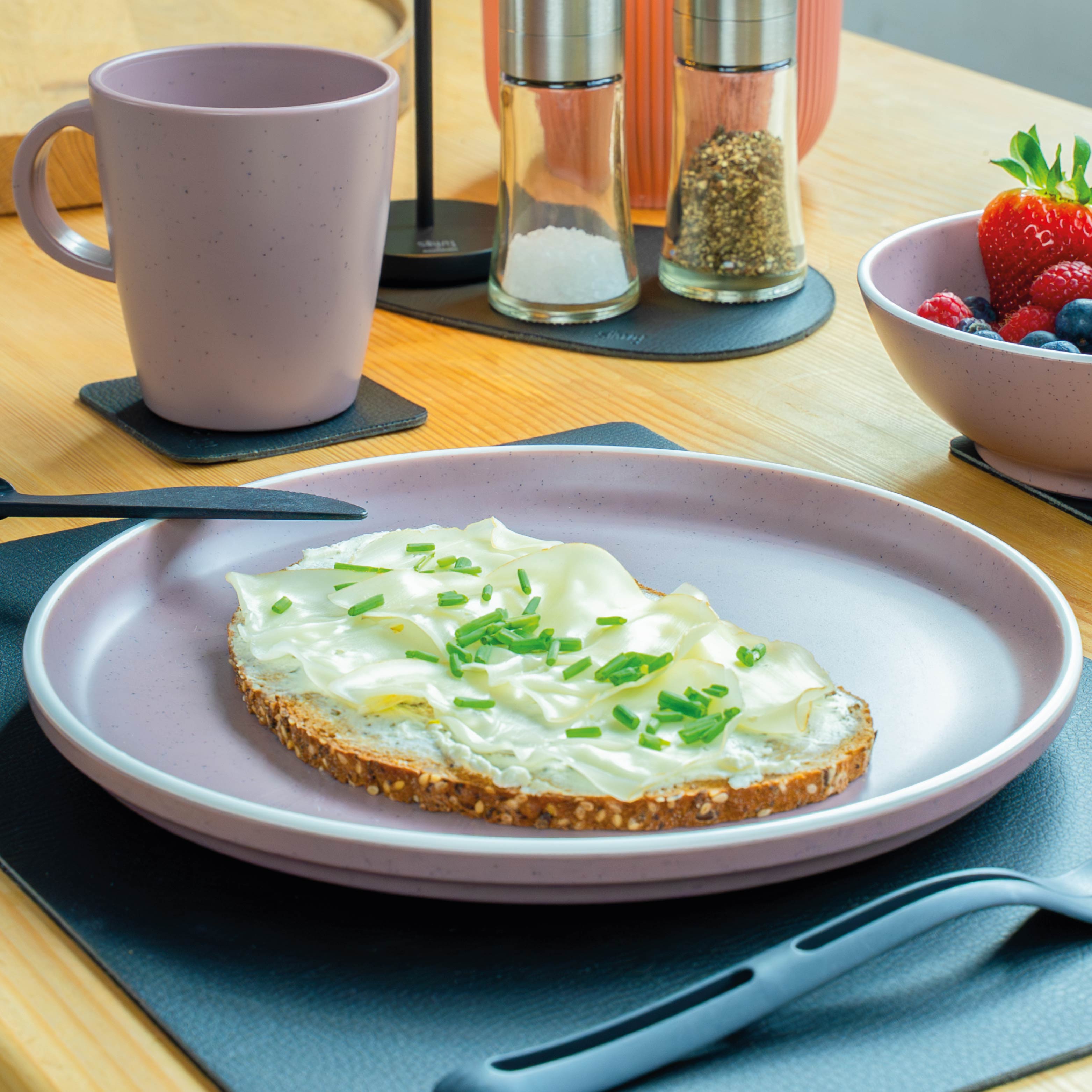Premium Plastic Plates Set - 25cm Dolomite Rose Color, Durable & Stylish for Parties, Picnics, and Outdoor Dining