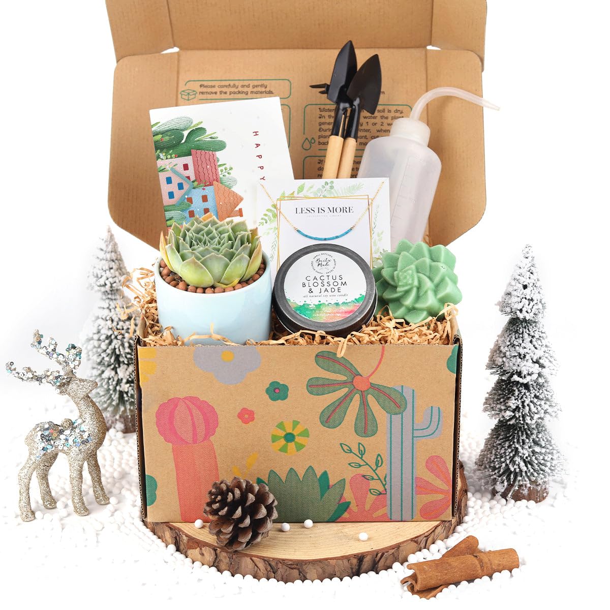 Premium Succulent & Air Plant Gift Box for Women - Personalized Plant Lover Gift Set - Unique Holiday & Birthday Present - Home Office Desk Decor & Housewarming Gift Idea