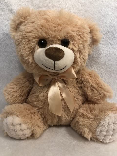 Personalized Graduation Bear Plush for Class of 2024 - Custom Monogram Embroidery Gift for Preschool & Kindergarten Graduation - Perfect Graduation Party Favors & School Keepsakes