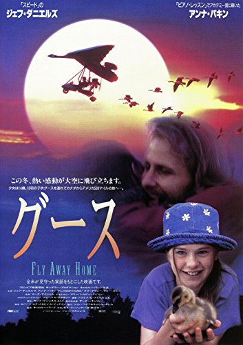 Fly Away Home - Heartwarming Family Movie DVD | Perfect for Movie Nights & Family Gatherings