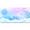 Floral Pink/Blue