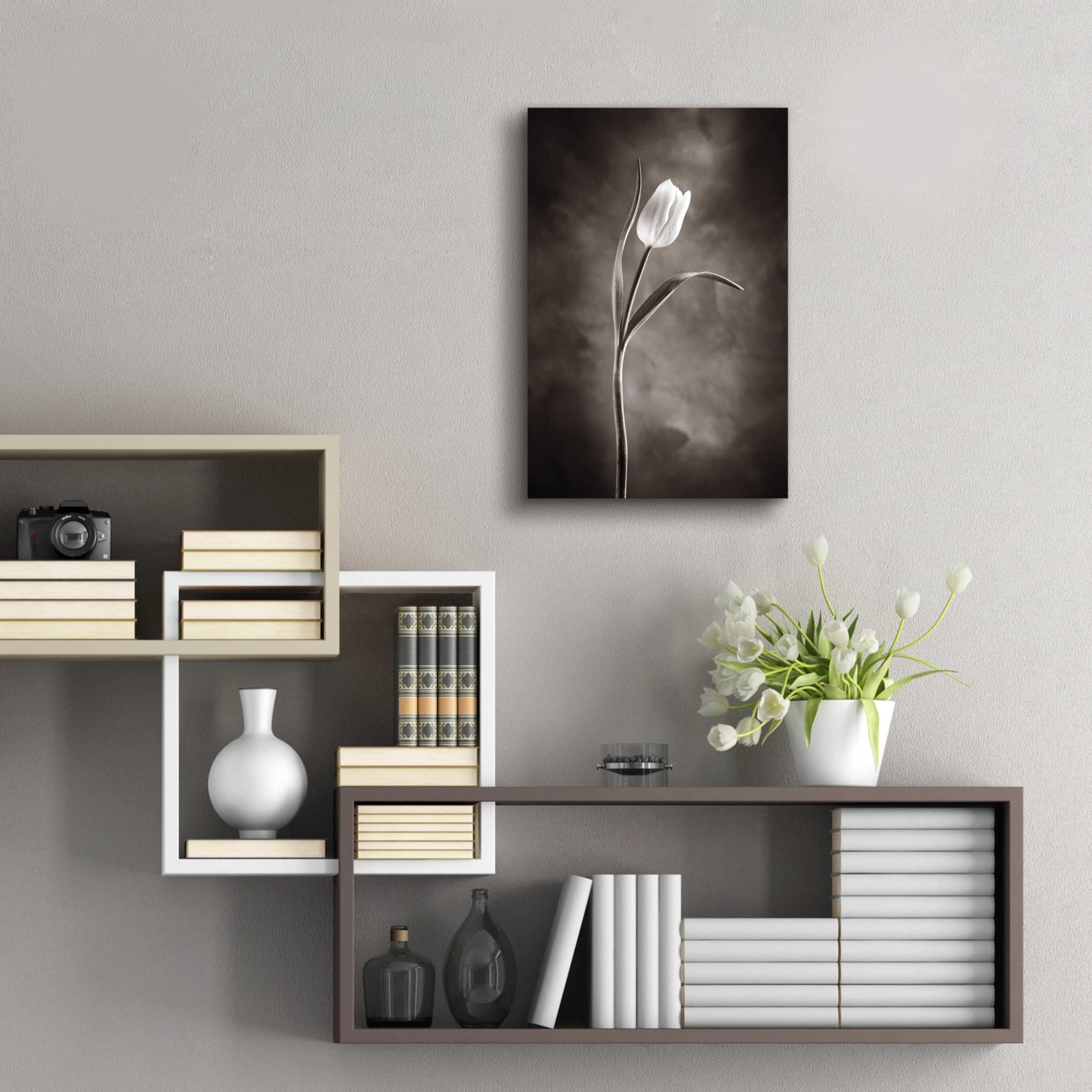 Two Tone Tulips I Acrylic Glass Wall Art by Debra Van Swearingen - 16x24 Inches Modern Floral Painting for Living Room, Bedroom & Office Decor