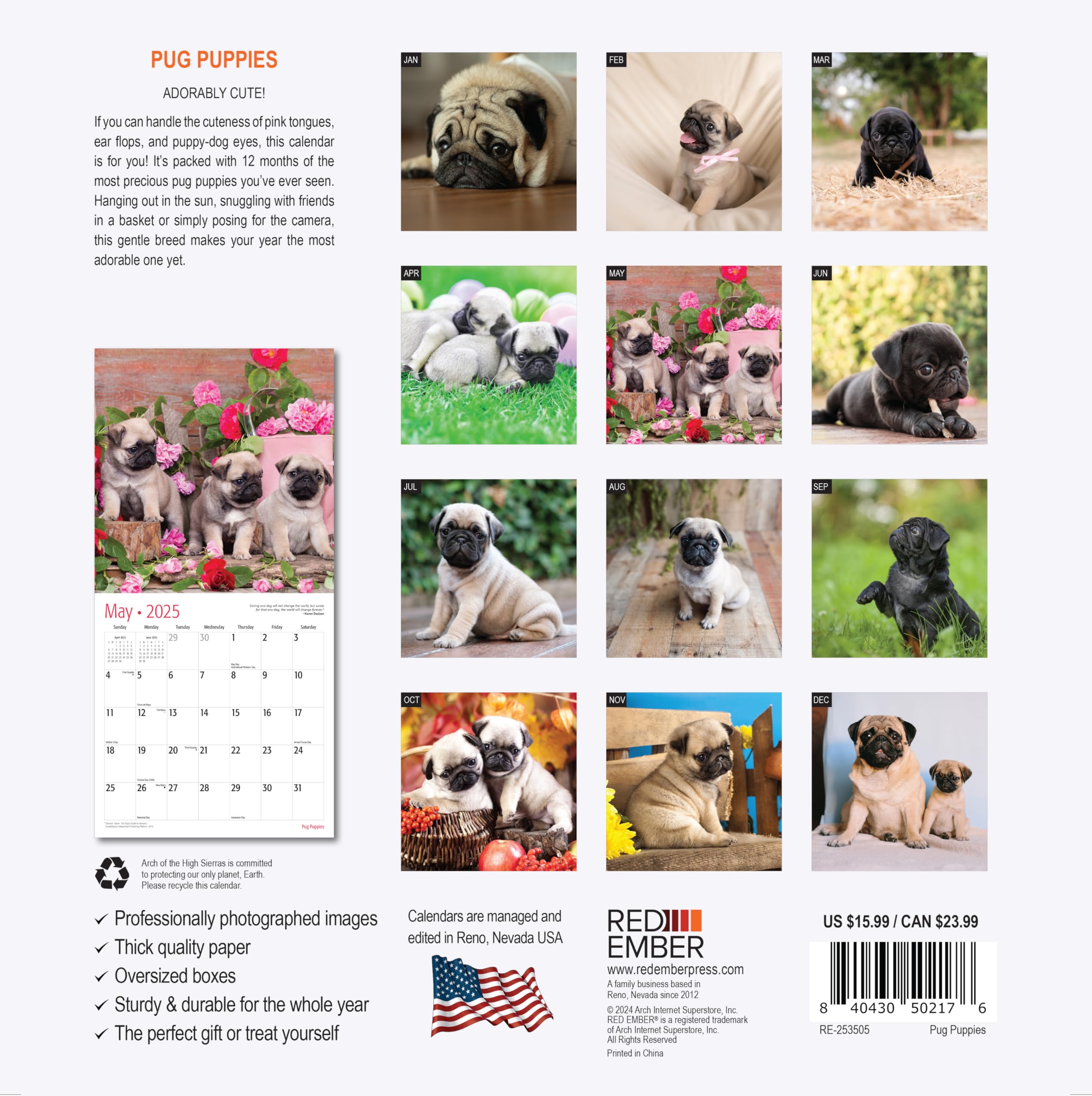 RED EMBER Pug Puppies 2025 Wall Calendar - 12 Month Large 12x24 Inch with Thick Sturdy Paper - Perfect Gift for Dog Lovers - Home, Office & Classroom Decor