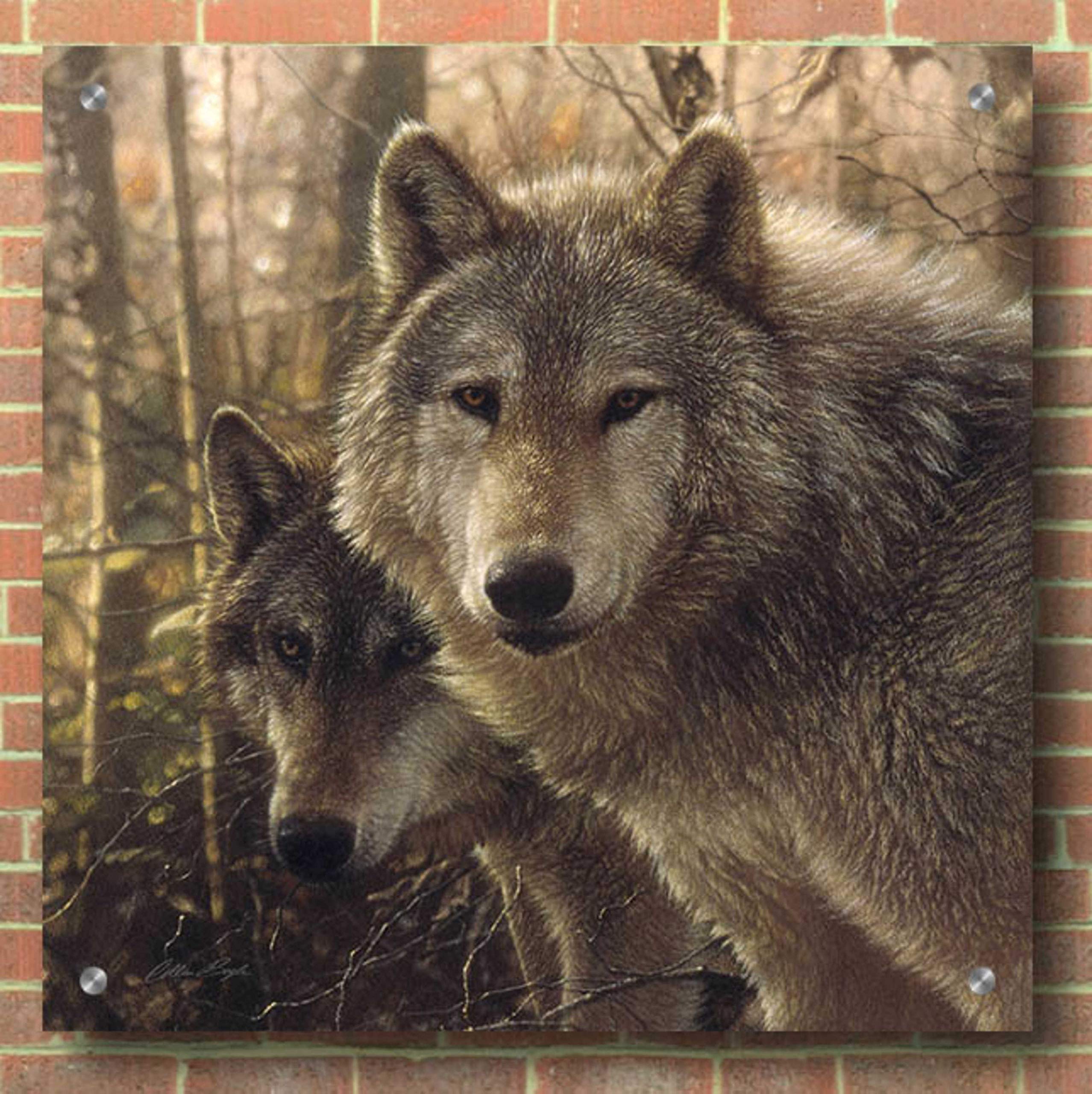 Collin Bogle 'Wood Land Companions' Acrylic Glass Wall Art - 36x36 Inches Modern Nature Painting for Living Room, Bedroom & Office Decor
