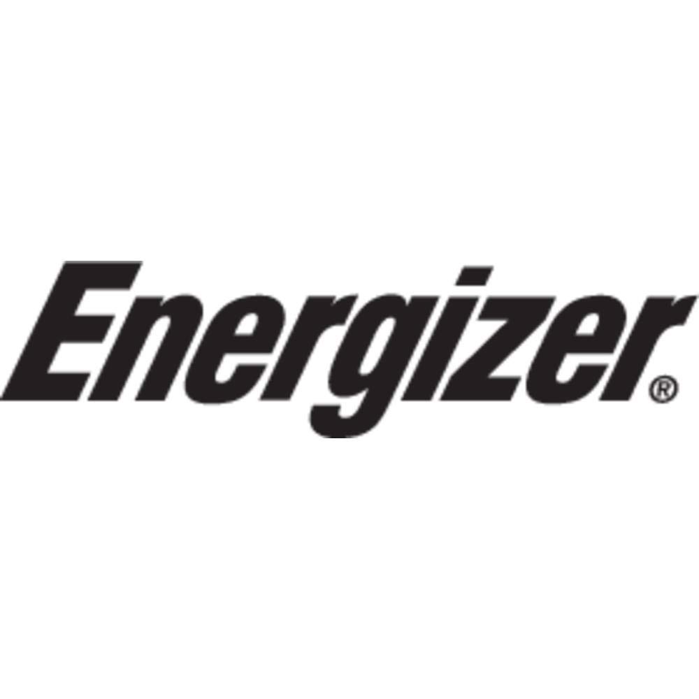 Energizer Max AA and AAA Battery Charger (4 AA Batteries Included, 2000mAh) - Fast Charging for Cameras, Toys, and Electronic Devices
