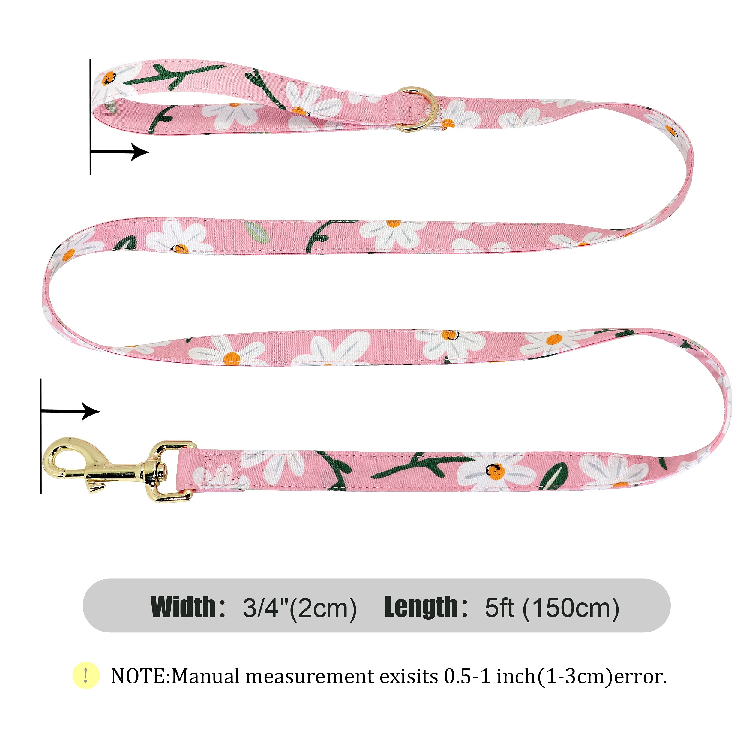 Beirui Custom Floral Dog Collar & Leash Set for Small Female Dogs - Personalized Gold Buckle Engraved Pet Collars with Daisy Pattern (Large) | Perfect for Weddings, Photo Shoots & Special Occasions