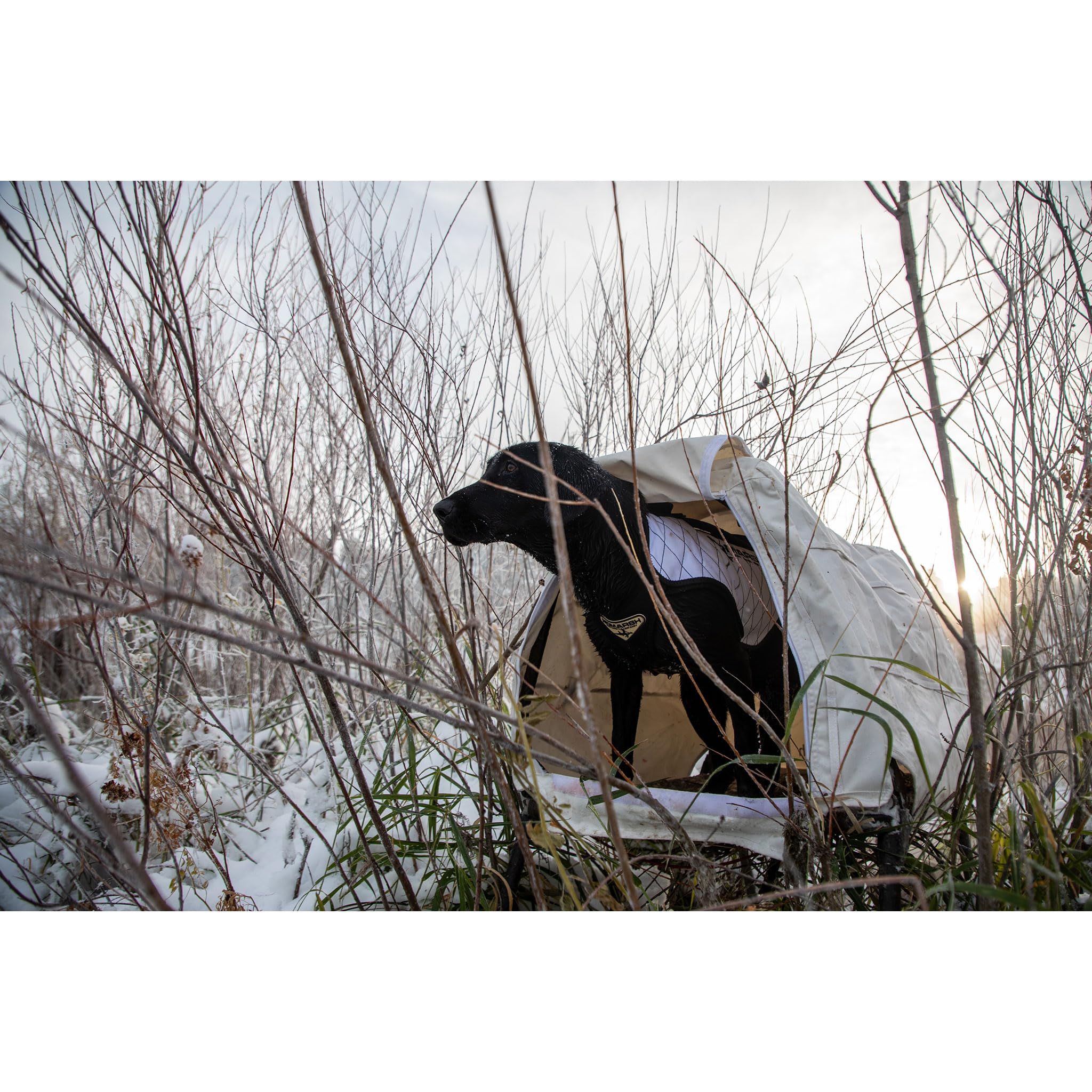 Momarsh Invisi Lab Dog Blind Snow Cover - Camouflage Hunting Blind for Waterfowl & Upland Game - Perfect for Winter Hunting & Field Training