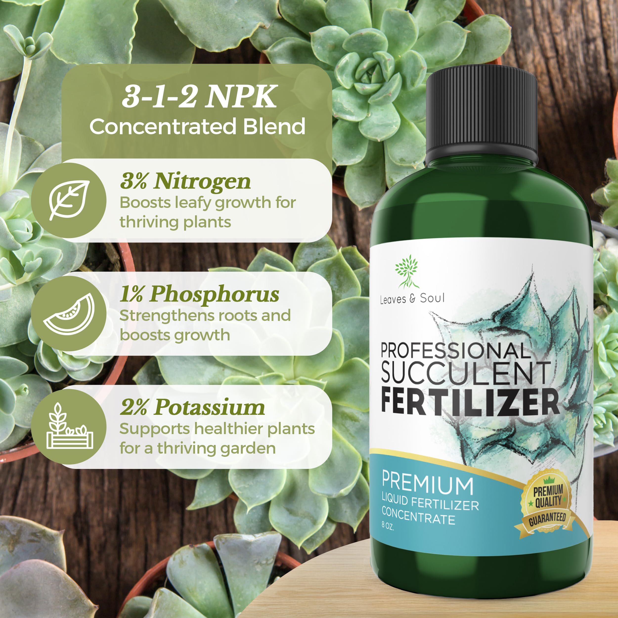 Premium Liquid Succulent Plant Food - 3-1-2 NPK Concentrated Fertilizer for Succulents, Cacti & Flowers | All-Purpose Nutrient Solution for Indoor & Outdoor Gardening | 8oz Bottle | Perfect for Home Decor, Office Plants & Garden Care