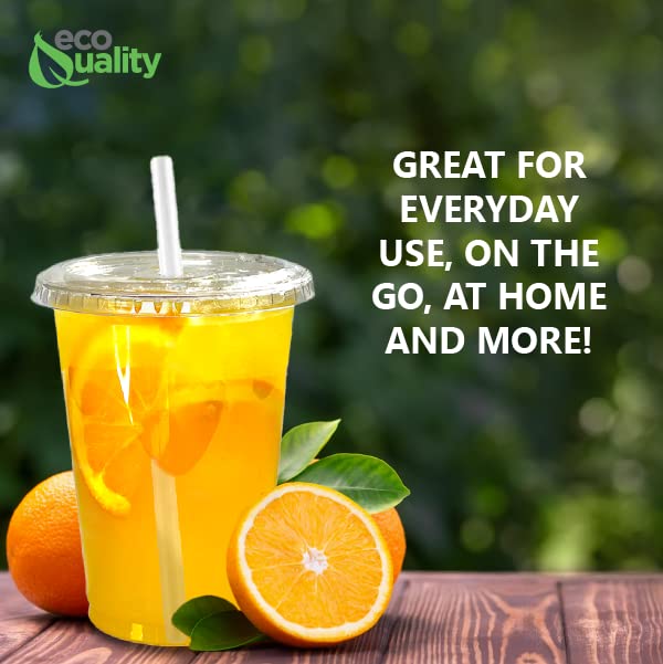 EcoQuality 24oz Clear Plastic Disposable Cups with Lids & Straws - 500 Count PET Party Cups for Smoothies, Protein Shakes, Bubble Tea, Iced Coffee, Boba, Fresh Juice | Meal Prep, Catering, Picnics, BBQs, Office Parties & Home Entertaining