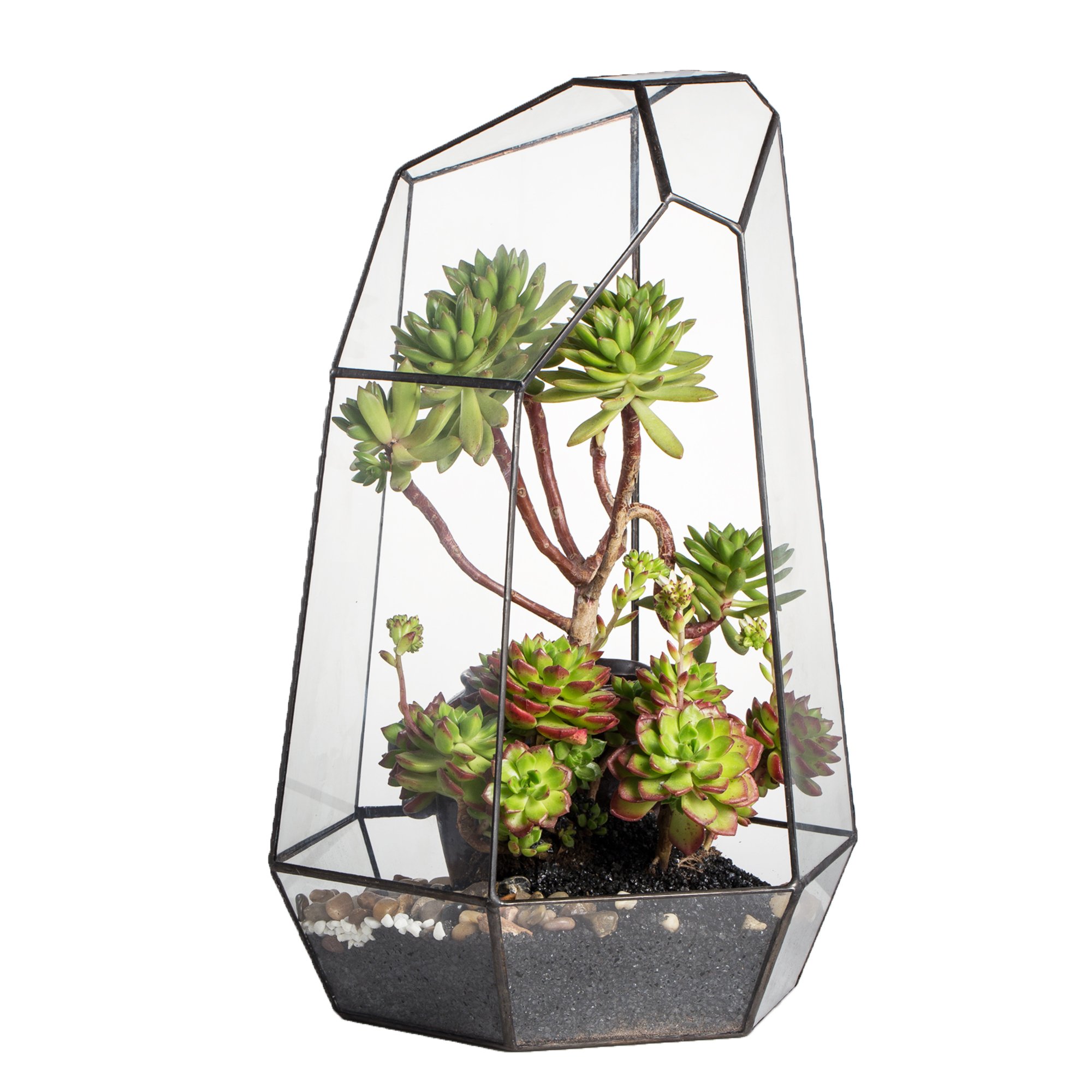 NCYP 16-Inch Large Geometric Glass Terrarium - Handmade Open Irregular Terrarium Pot for Air Plants & Succulents | Home Garden Decor, Tabletop Planter | Perfect for Living Room, Office & Wedding Centerpieces (No Plants/Door Included)
