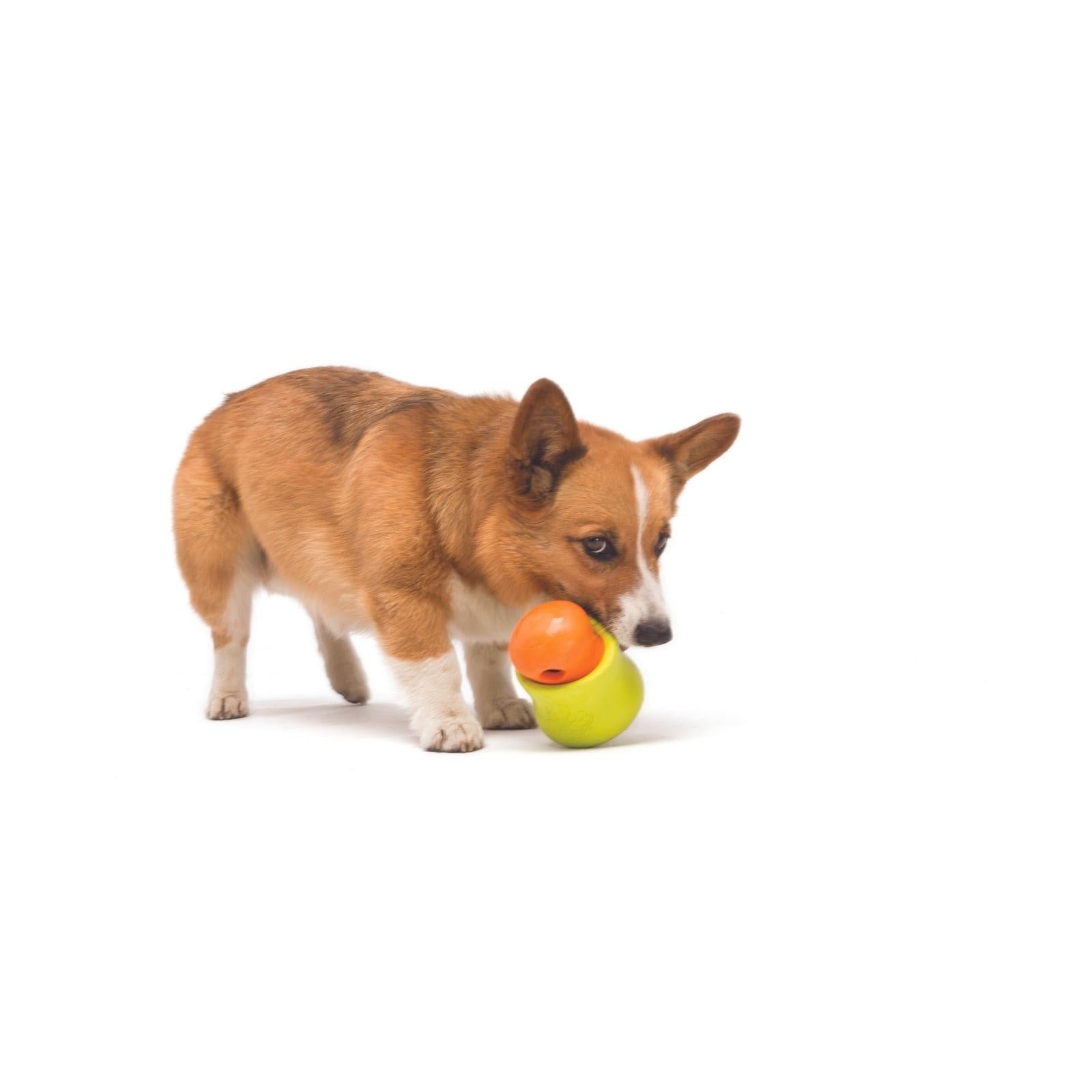 West Paw® TOPPL Interactive Puzzle Treat Toy for Dogs - Orange - Fun Brain Game & Reward Dispenser for Training, Chewing & Mental Stimulation