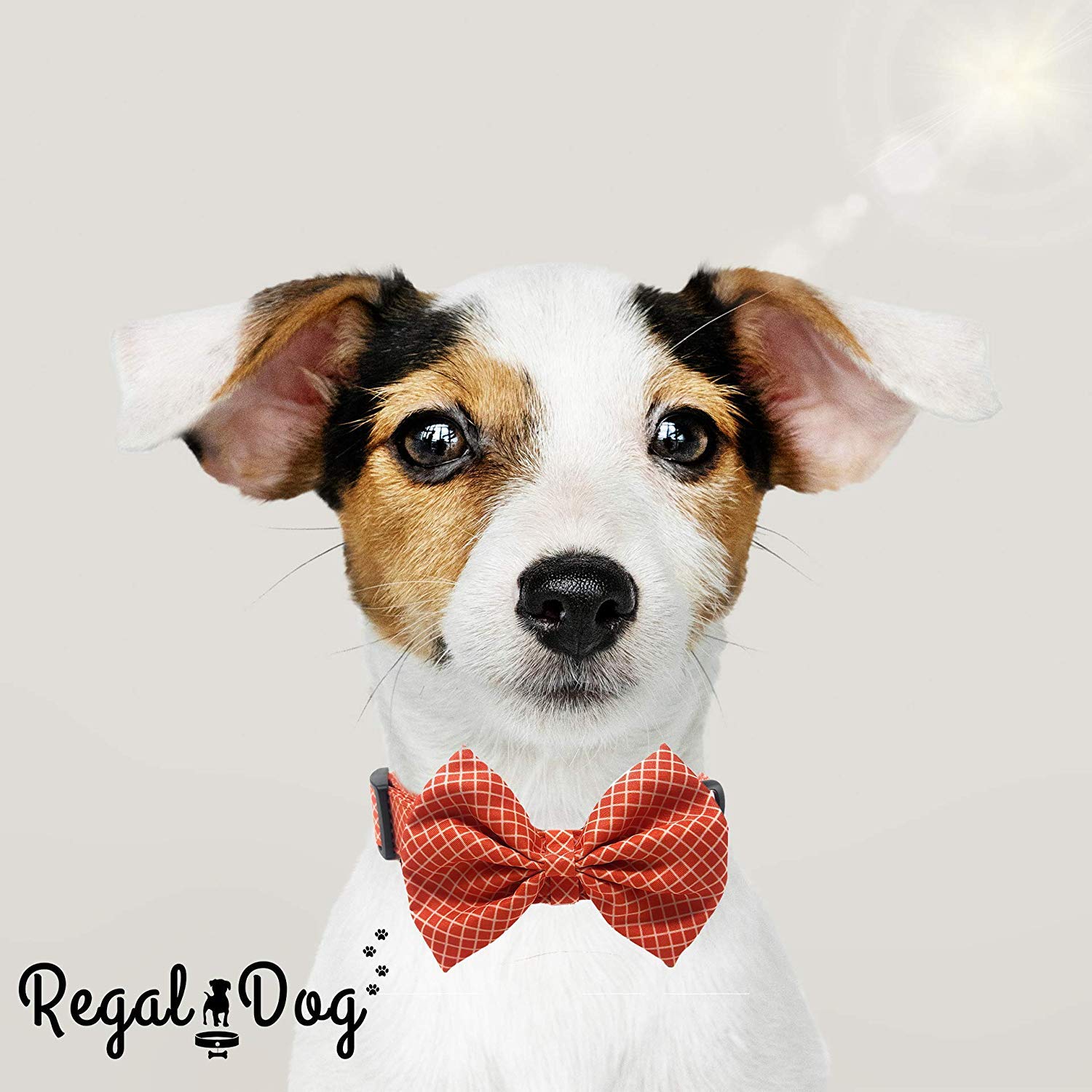 Regal Dog Bowtie Collar for Small, Medium, Large Dogs & Cats - Adjustable 8-12 inch Orange Plaid Pet Collar with Stylish Bow Tie | Perfect for Birthdays, Weddings & Special Occasions | Durable & Comfortable Pet Fashion Accessory