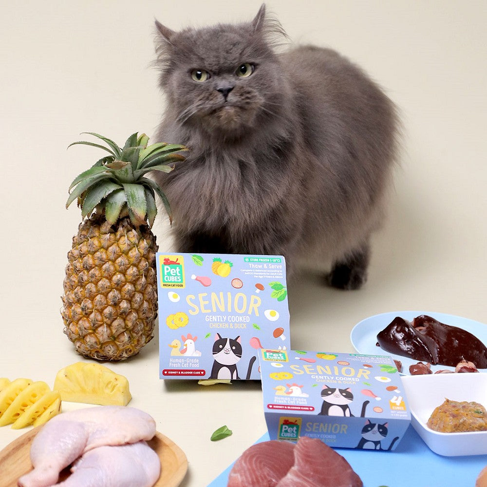 Premium Frozen Human-Grade Gently Cooked Chicken & Duck Senior Cat Food - High Protein, Grain-Free Recipe for Aging Cats with Sensitive Stomachs | Perfect for Senior Feline Nutrition & Digestive Health Support
