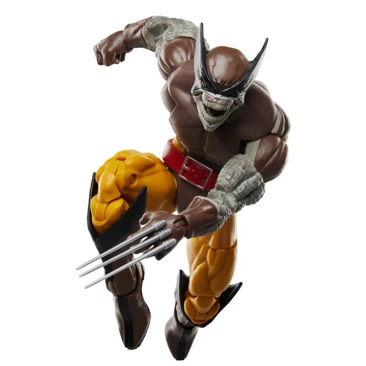 Marvel Legends Wolverine & Lilandra Neramani 2-Pack - 50th Anniversary Edition - Action Figures for Collectors & Marvel Fans - Perfect for Display & Comic Book Scenes