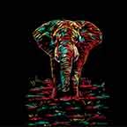 Beautiful Elephant