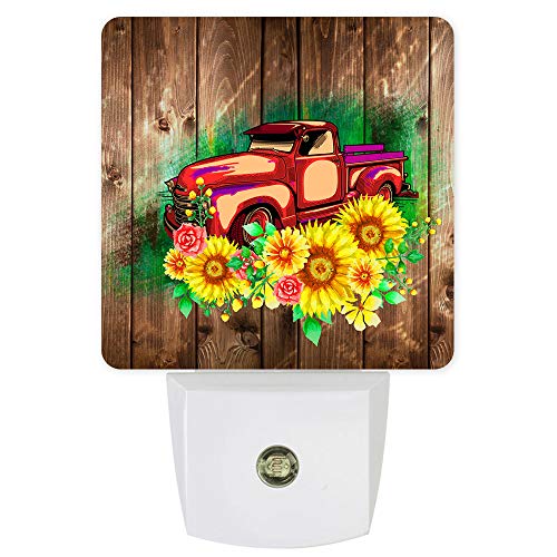 SunflowerFGE3881