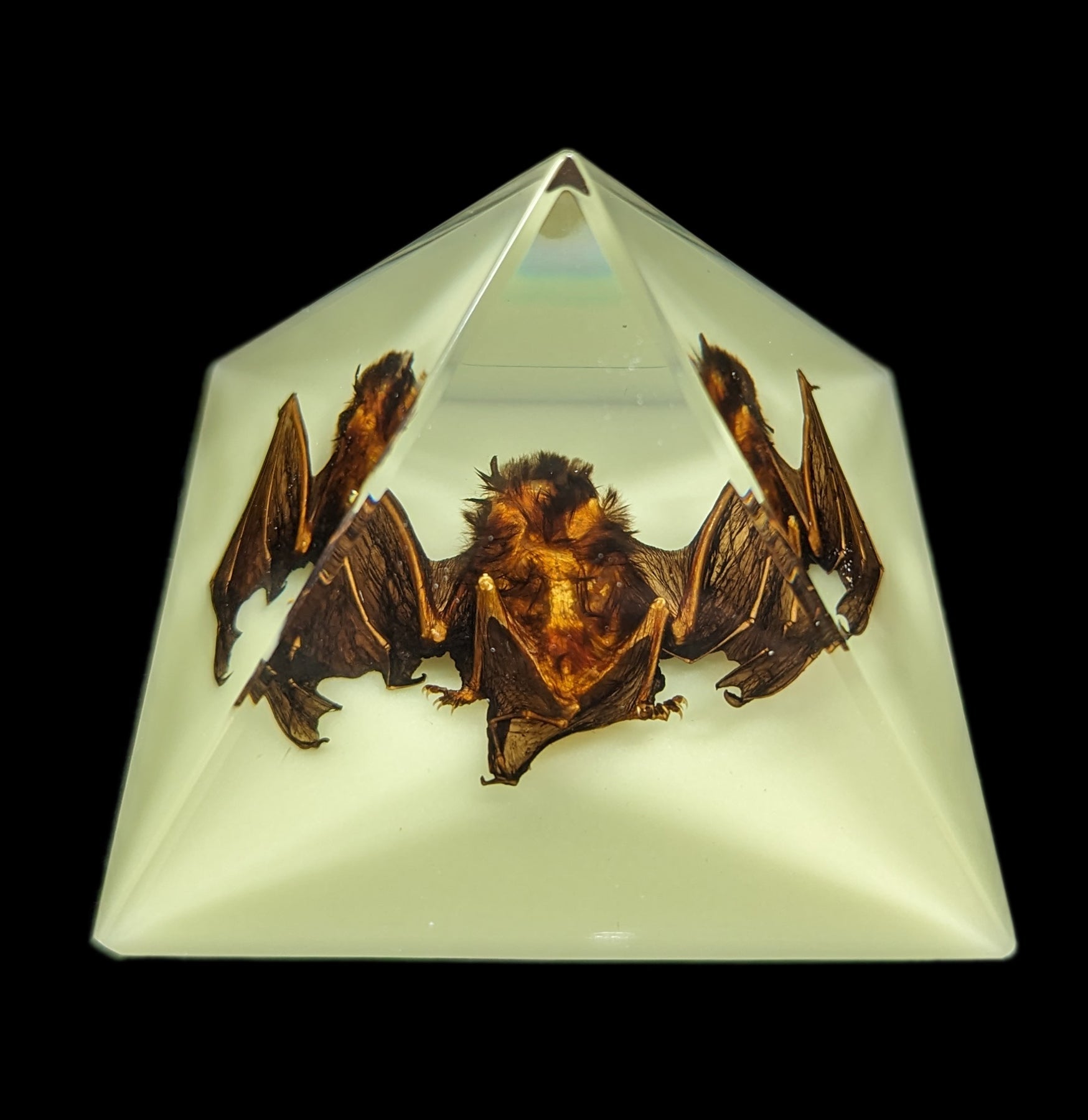 Glow in the Dark Bat Pyramid - Halloween Decorations, Spooky Party Supplies, Unique Night Light for Kids Room & Outdoor Garden Decor - Perfect for Halloween Parties, Bedroom Nightlight, and Themed Events