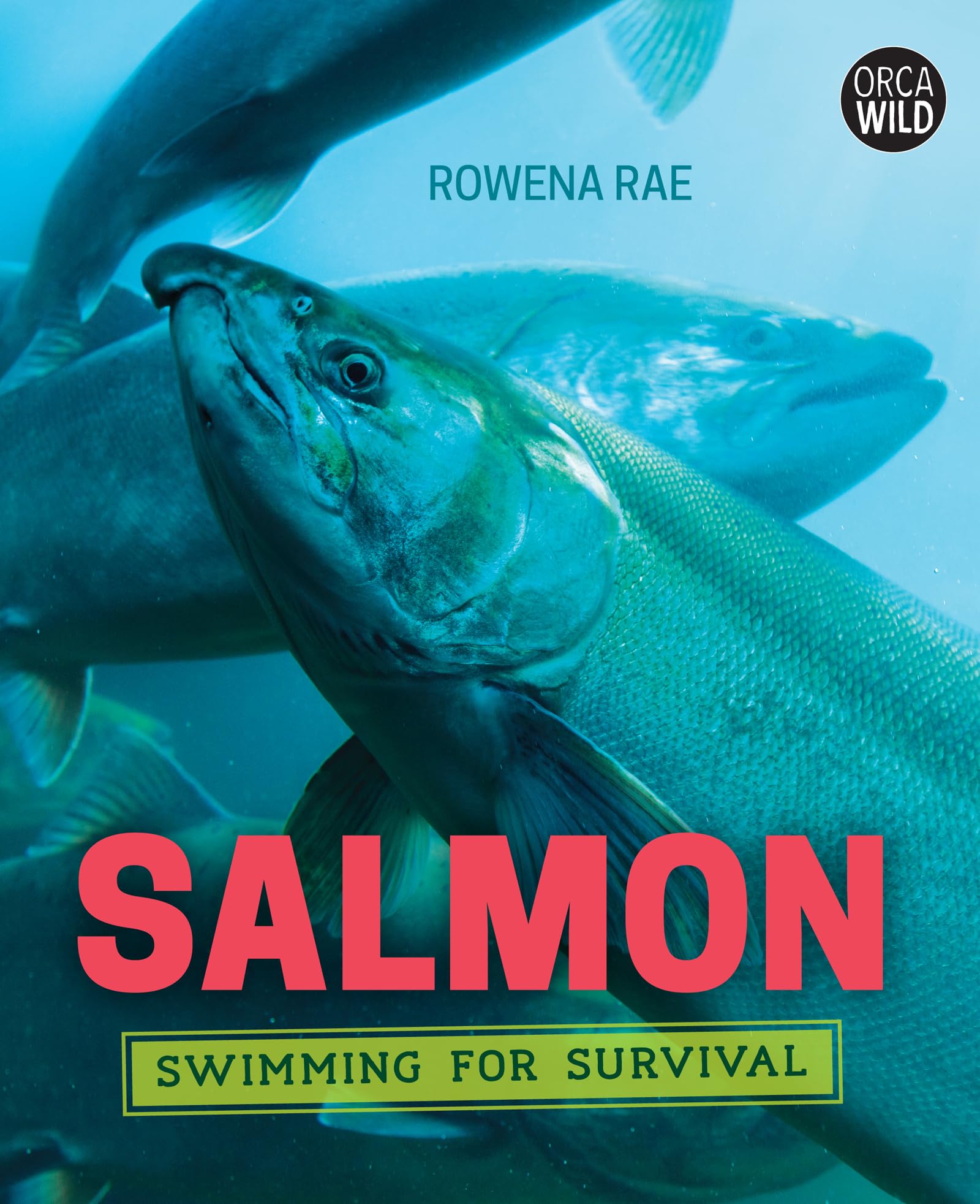 Wild Salmon: Swimming for Survival - Orca Wild Series Book 8 | Marine Life Education, Ocean Conservation Reading for Kids & Adults