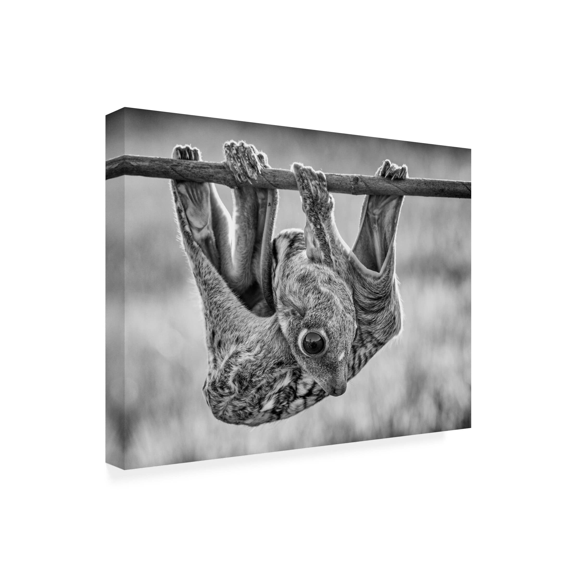 Trademark Fine Art 'PW' Canvas Art by Hendy Lie - Stunning Hand-Painted Wall Decor for Living Room, Bedroom & Office | Premium Gallery-Wrapped Canvas Print