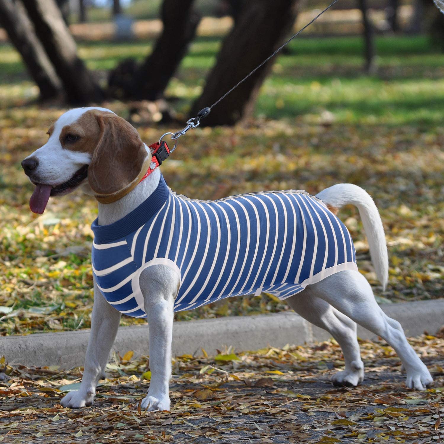 SAWMONG Dog Recovery Suit for Post-Surgery Care - Soft Surgical Onesie for Female & Male Dogs - Alternative to E-Collar Cone - Blue Large Size - Perfect for Spay/Neuter Recovery & Wound Protection