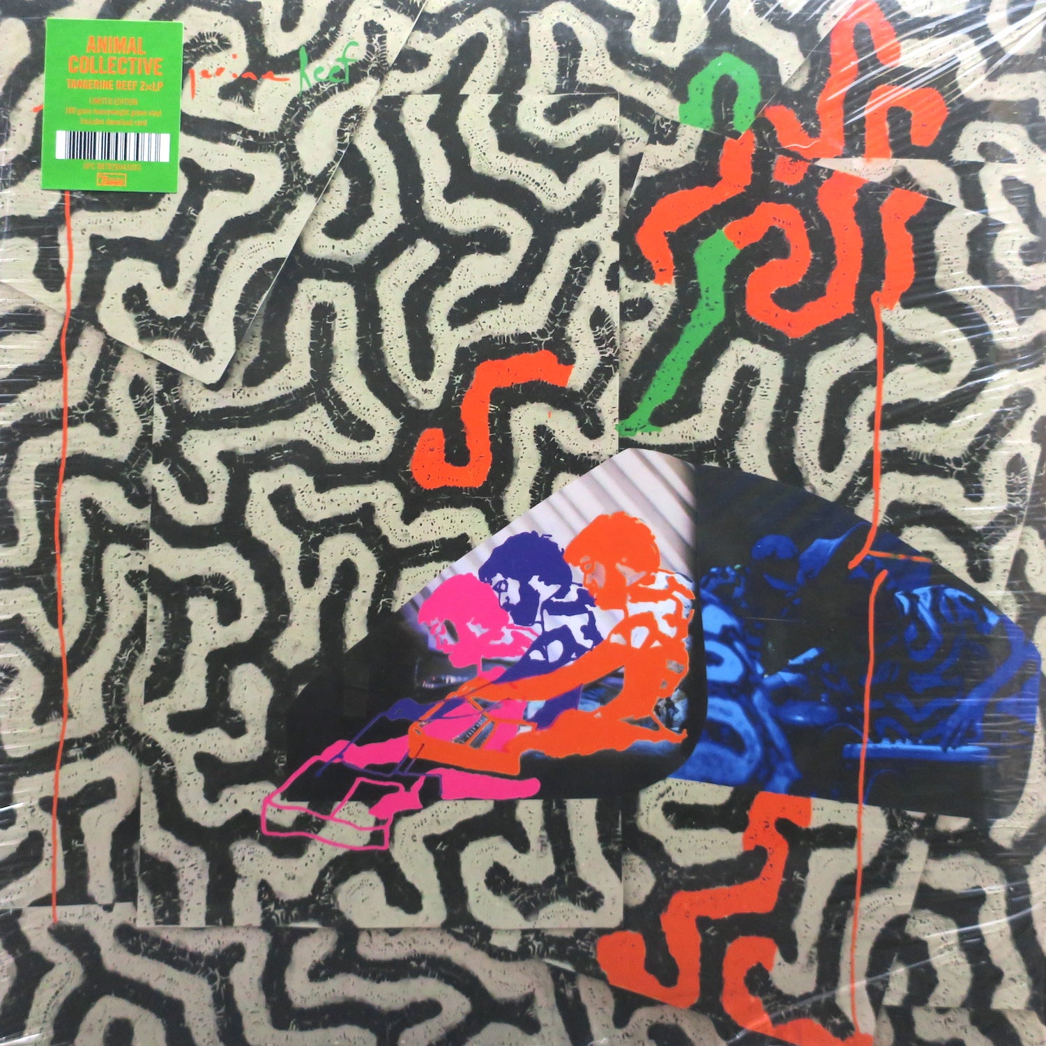 ANIMAL COLLECTIVE 'Tangerine Reef' 180g Green Vinyl 2LP Record - Limited Edition Eco-Friendly Vinyl for Music Collectors & Audiophiles - Perfect for Home Listening, Gifts & Vinyl Collections