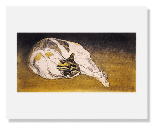 Theophile Alexandre Steinlen Sleeping Cat Art Print - Vintage French Poster Reproduction - Perfect for Home Decor, Office Wall Art & Gift for Cat Lovers