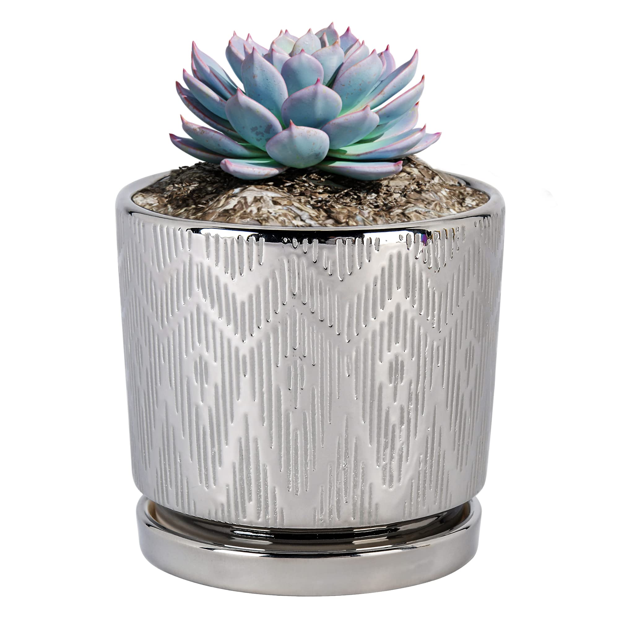 Ton Sin Silver Plant Pots - 5.5 Inch Ceramic Succulent & Cactus Planters with Drainage Hole & Saucer - Indoor/Outdoor Round Garden Flower Pots for Home Decor, Office Desk, Patio & Balcony