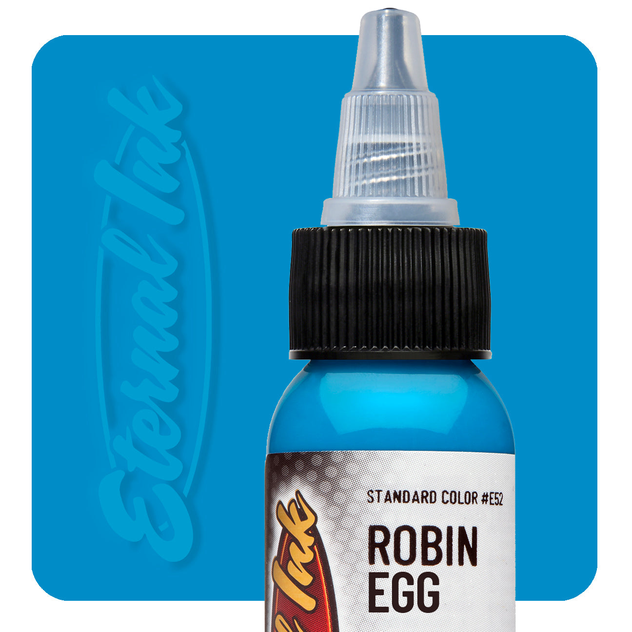 Eternal Robin Egg Blue Ink - Premium Waterproof Fountain Pen Ink for Calligraphy & Art - Perfect for Journals, Letters, and Creative Writing